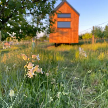 Tiny House Palava