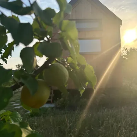 אכסניה Tiny House Palava *