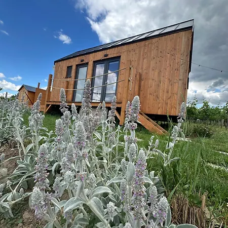 אכסניה Tiny House Palava Bořetice