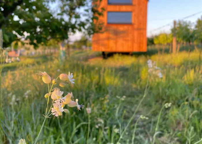 Tiny House Pálava